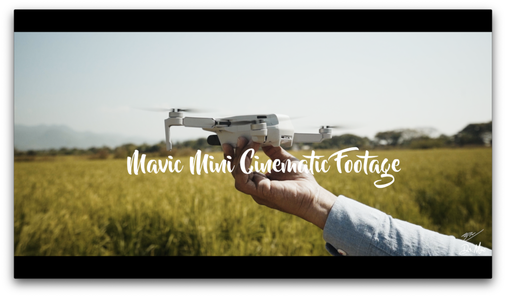 Mavic Mini