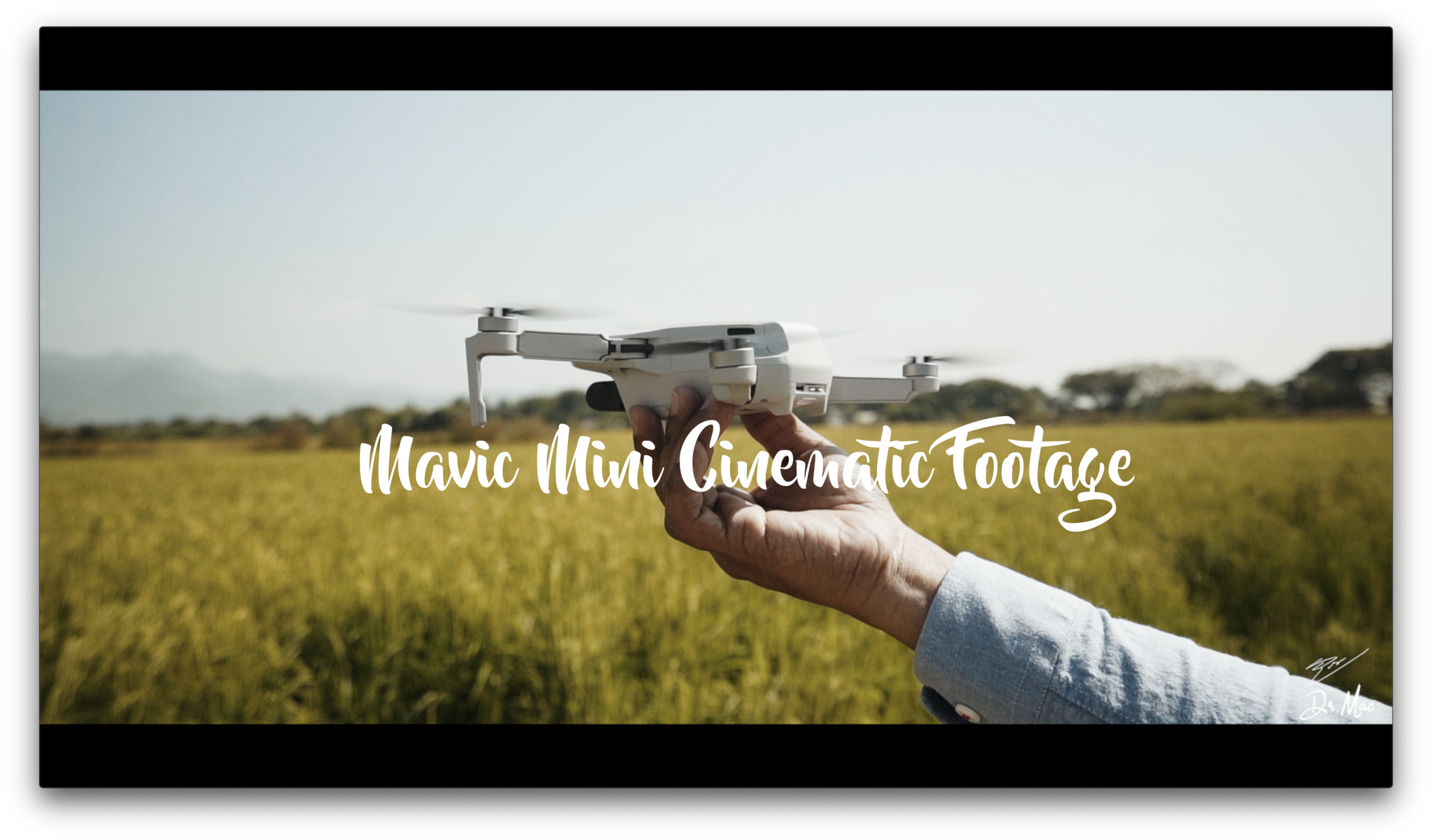 Mavic Mini
