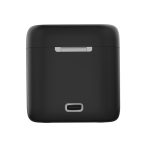 GoPro Hero 9 Battery and Charing Case