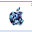 iTune Card 15$